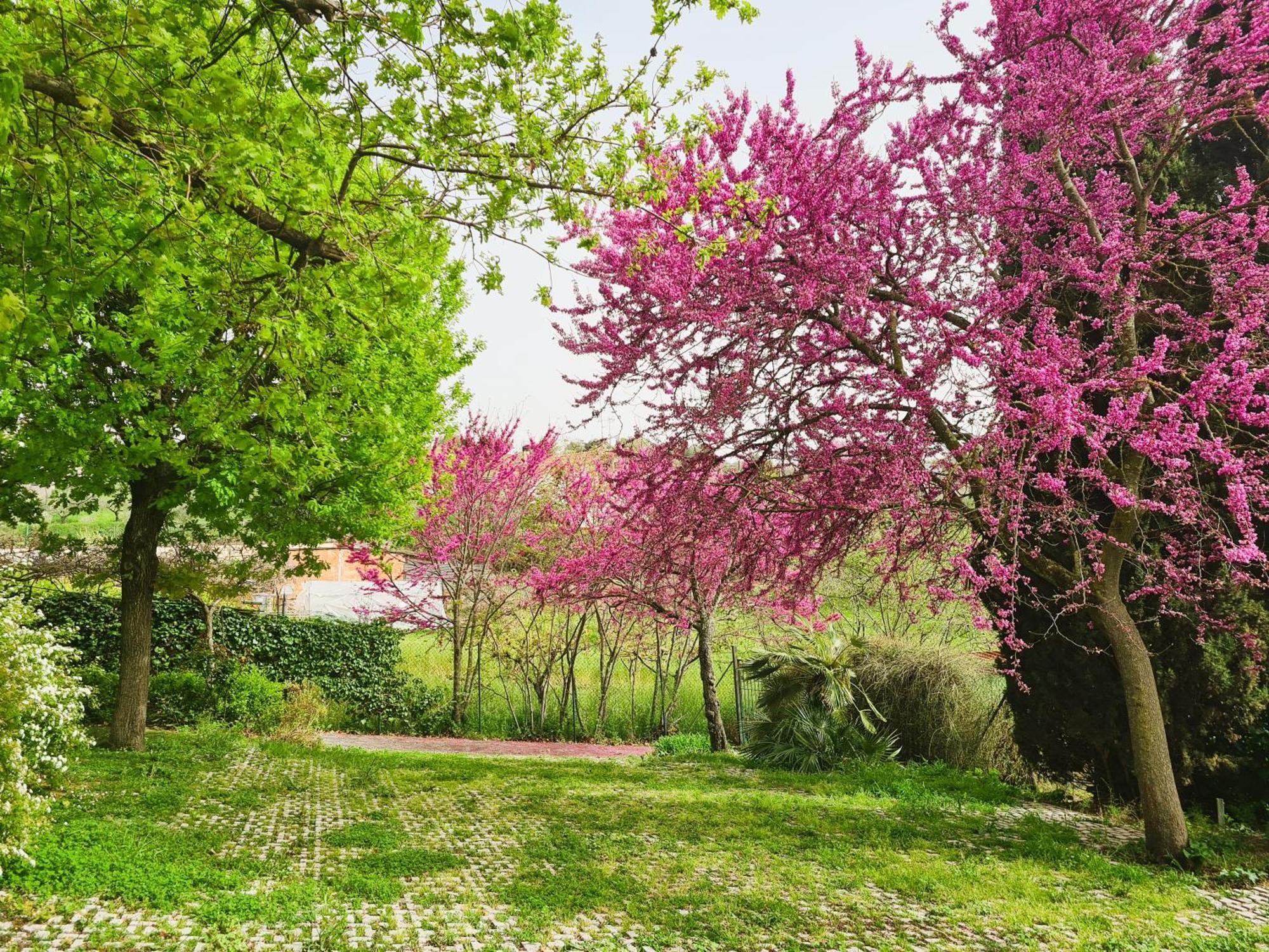 Il Parco Holiday - Locazione Turistica Fonte Nuova Exterior foto